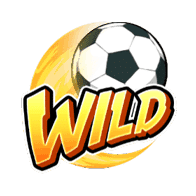 Shaolin Soccer 4 wild Shaolin Socce